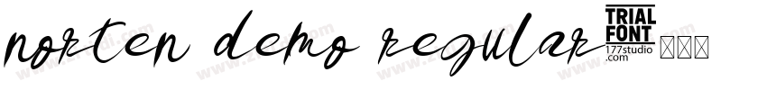 norten demo regular字体转换